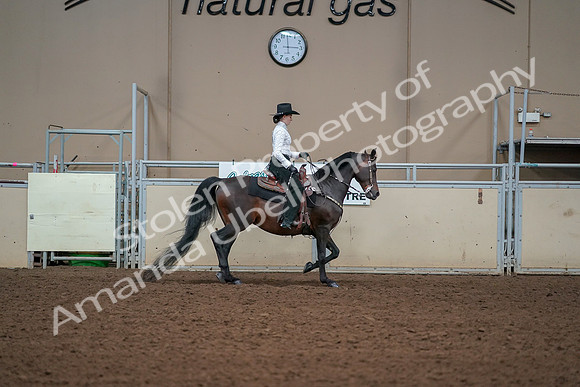 2019 Morgan Horse Show - Aug 30, 2019 - 17004