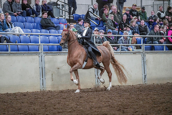 Spring Fling - Saturday - April 20, 2019  -  04323