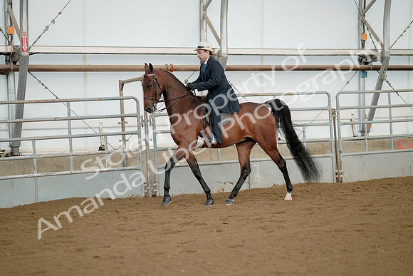 July 21, 2019 - 01544