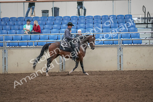 2019 Morgan Horse Show - Aug 31, 2019 - 06156