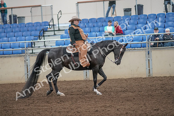 2019 Morgan Horse Show - Aug 31, 2019 - 06209