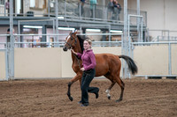 2020 - AB Morgan Horse - Fri, Sept 04 - 07592