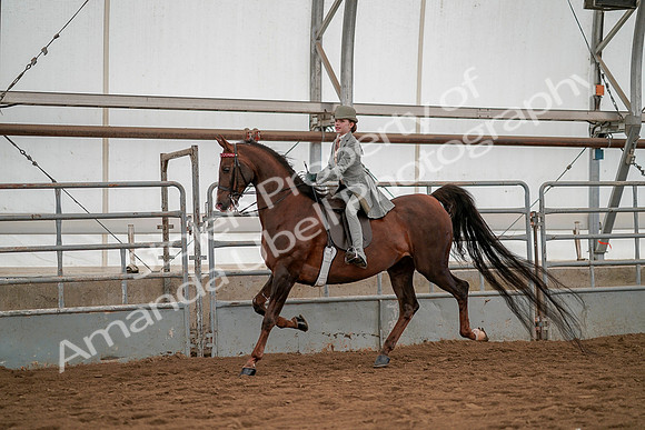 July 19, 2019 - 3981