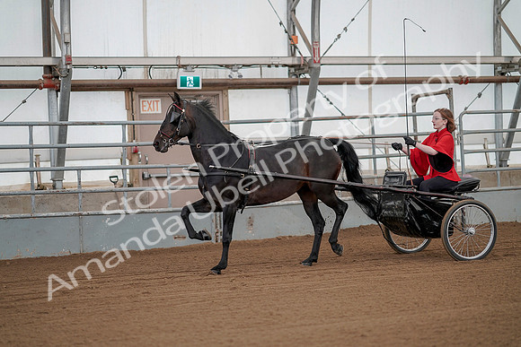 July 20, 2019 - 00124