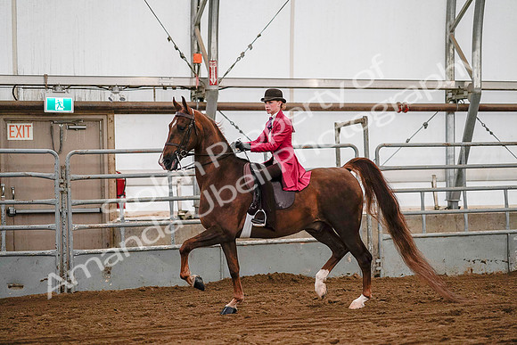 July 19, 2019 - 8732