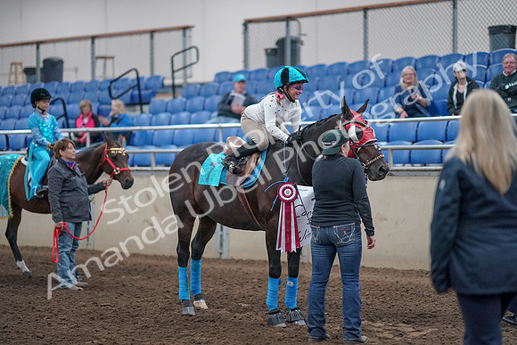 2019 Morgan Horse Show - Aug 31, 2019 - 10151