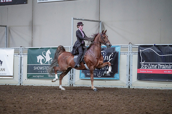 Spring Fling - Saturday - April 20, 2019  -  00547