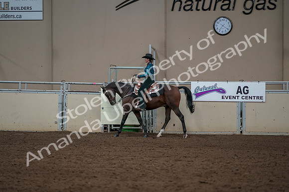 2019 Morgan Horse Show - Aug 30, 2019 - 26034