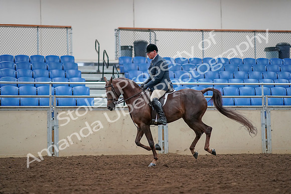 2019 Morgan Horse Show - Aug 30, 2019 - 17480