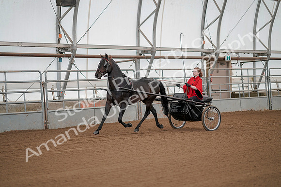 July 20, 2019 - 00046