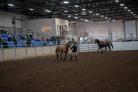 2019 Morgan Horse Show - Aug 31, 2019 - 01488
