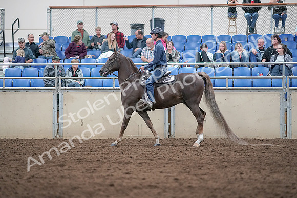 2019 Morgan Horse Show - Aug 31, 2019 - 21396