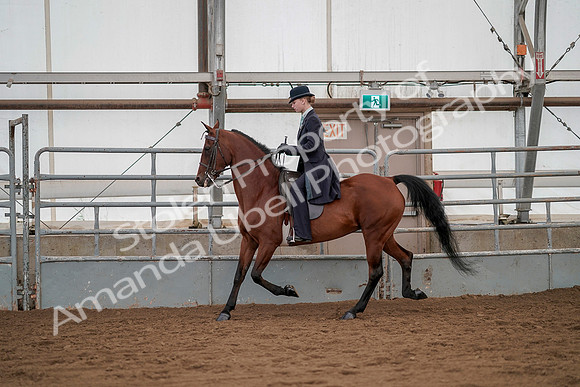 July 20, 2019 - 04315