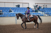 2019 Morgan Horse Show - Aug 31, 2019 - 10547