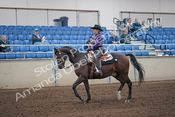2019 Morgan Horse Show - Aug 31, 2019 - 10547