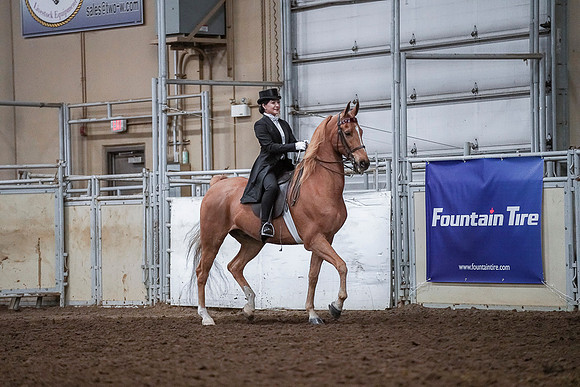 Spring Fling - Saturday - April 20, 2019  -  04185