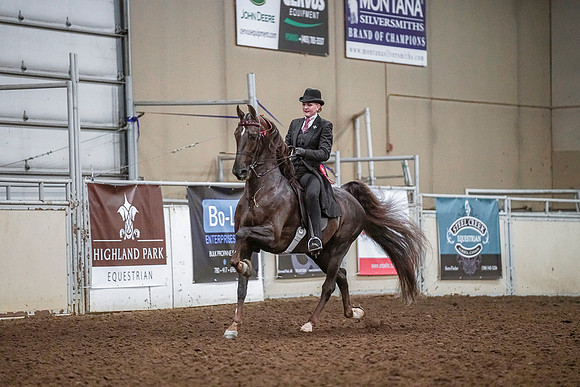 Spring Fling - Saturday - April 20, 2019  -  03655