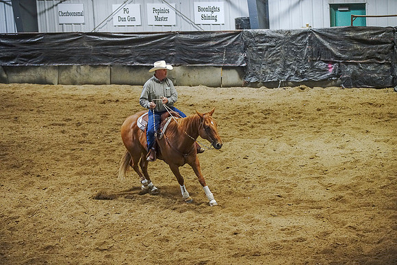 DSC01248