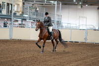 2020 - AB Morgan Horse - Fri, Sept 04 - 02225