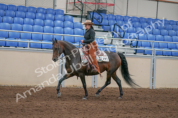 2020 - AB Morgan Horse - Sun, Sept 06 - 01606