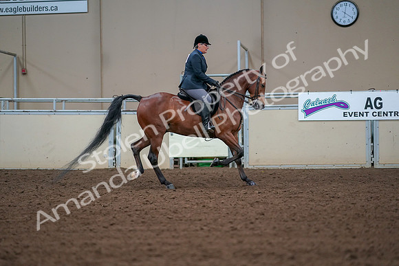 2019 Morgan Horse Show - Aug 30, 2019 - 20739