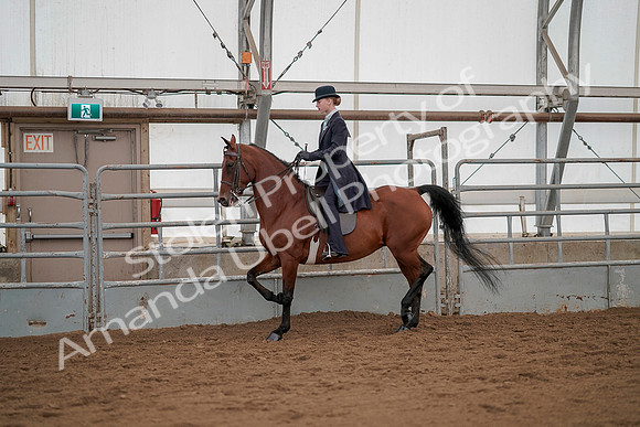 July 20, 2019 - 04298