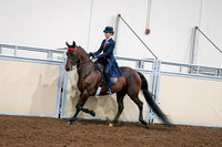 2020 - AB Morgan Horse - Sat, Sept 05 - 08538