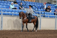 2020 - AB Morgan Horse - Fri, Sept 04 - 05696