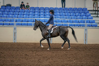 2020 - AB Morgan Horse - Sat, Sept 05 - 01178