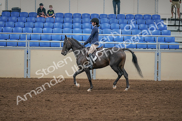 2020 - AB Morgan Horse - Sat, Sept 05 - 01178