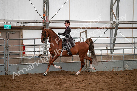 July 19, 2019 - 10344