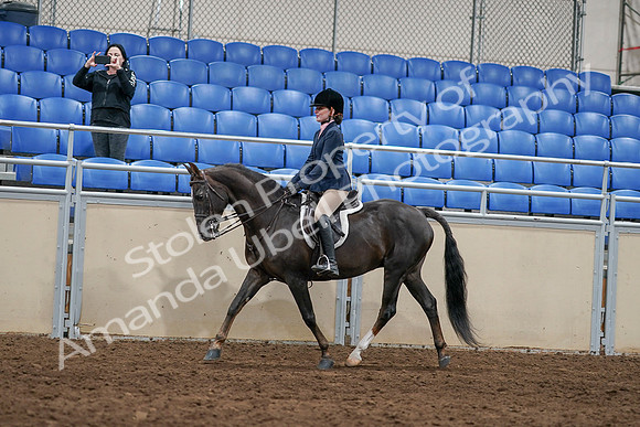 2020 - AB Morgan Horse - Sun, Sept 06 - 07745