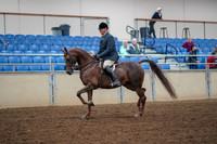 2019 Morgan Horse Show - Aug 30, 2019 - 17245