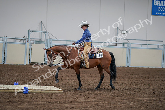2020 - AB Morgan Horse - Fri, Sept 04 - 00159