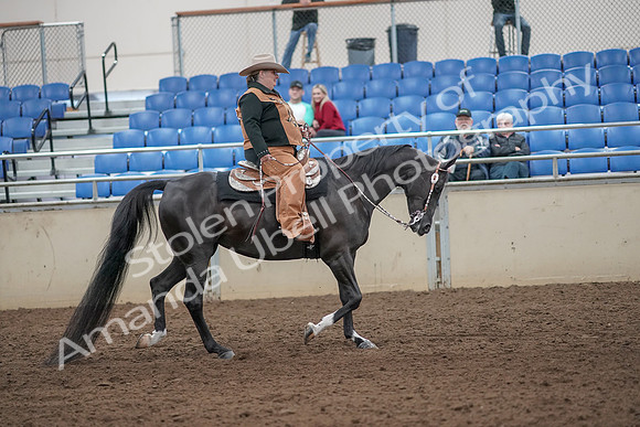 2019 Morgan Horse Show - Aug 31, 2019 - 06217