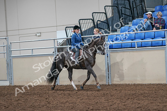 2020 - AB Morgan Horse - Sat, Sept 05 - 05077