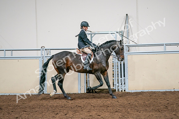 2020 - AB Morgan Horse - Sun, Sept 06 - 08097
