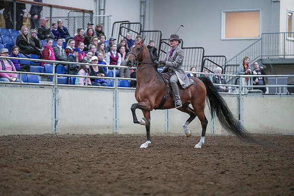 Spring Fling - Saturday - April 20, 2019  -  00485