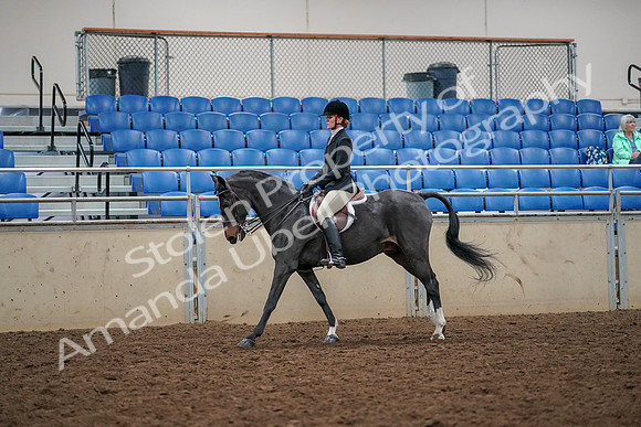 2019 Morgan Horse Show - Aug 30, 2019 - 23416