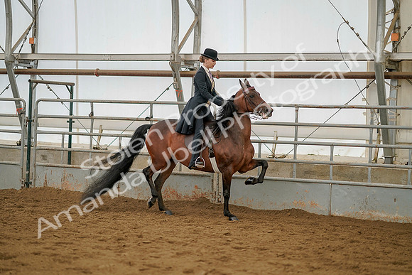 July 20, 2019 - 04600