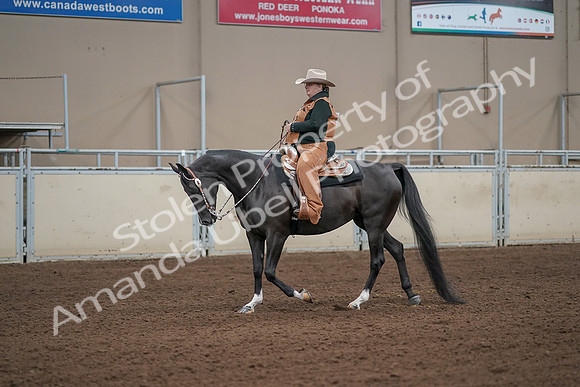 2019 Morgan Horse Show - Aug 31, 2019 - 06051