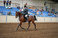 2020 - AB Morgan Horse - Sat, Sept 05 - 06864