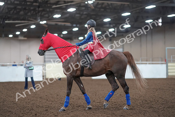 2019 Morgan Horse Show - Aug 31, 2019 - 10079