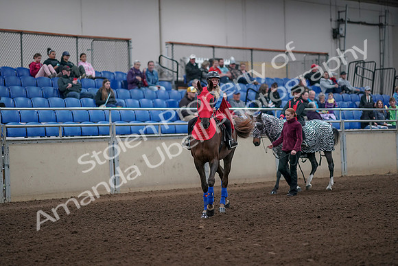 2019 Morgan Horse Show - Aug 31, 2019 - 09987