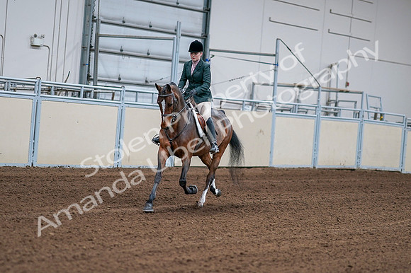 2020 - AB Morgan Horse - Fri, Sept 04 - 01673