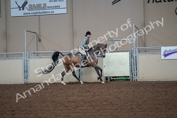 2019 Morgan Horse Show - Aug 30, 2019 - 17608