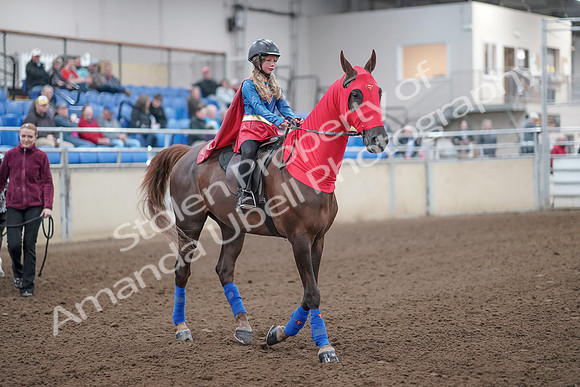 2019 Morgan Horse Show - Aug 31, 2019 - 09995