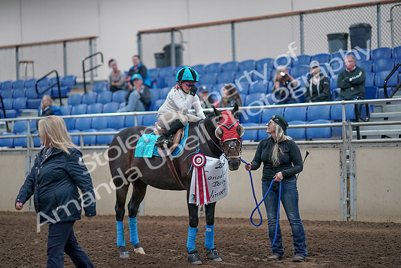 2019 Morgan Horse Show - Aug 31, 2019 - 10217