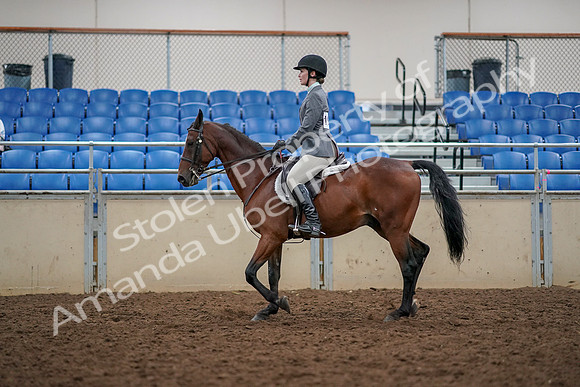 2019 Morgan Horse Show - Aug 30, 2019 - 23379