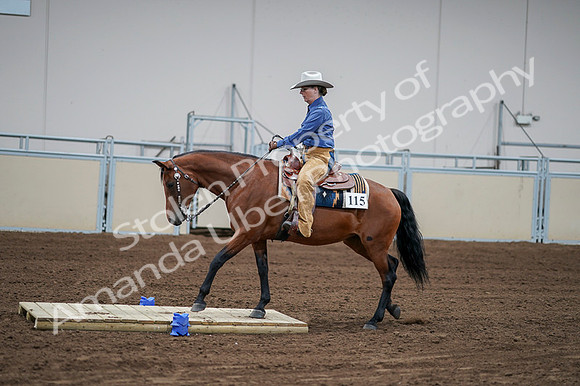 2020 - AB Morgan Horse - Fri, Sept 04 - 00166